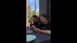 Dog steals sandwich in Lviv video