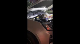 Mechanics remove huge python stuck under car