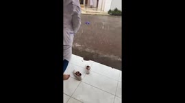 Person falls while retrieving umbrella in Medan, Indonesia