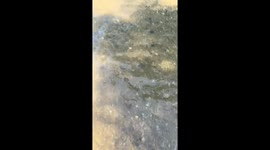 Horse and owner sink into soft ground in river
