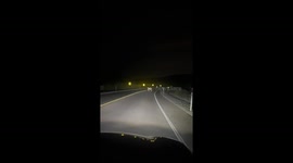 Donkey crosses road at night in Las Vegas, USA