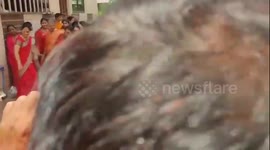 Cow joins Hindu parade and takes a knee for Ganesh idol