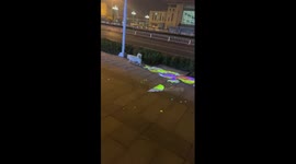 Chinese man and dog play on flower-lit street