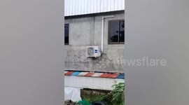 House collapses into river during flash flood