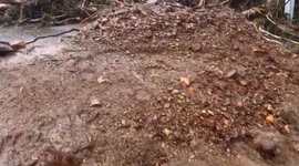 Japan: 7 Dead, Several Missing After Catastrophic Flooding Strikes Quake-Hit Area In Ishikawa 15