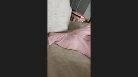 Girl Falls Asleep in Unusual Position