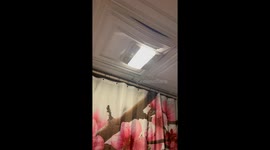 Cat Bursts Through Bathroom Ceiling