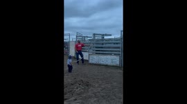 Future Bull Rider in Training