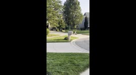 Dog Goes For a Ride Around the Neighborhood
