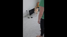 Giving Our Dog a Tour of Her New Home