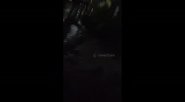 Snake tries to eat duck but gets stuck in gutter