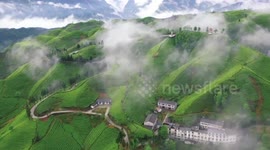 Chinese democracy wholesome, whole-process: Kenyan expert