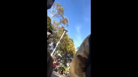 Tourist encounters adorable quokka munching on leaf
