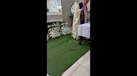 Clingy kitten pulls Catholic priest's robe