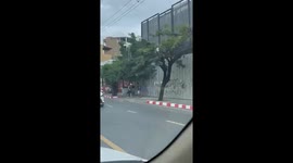 Chickens attack tourists walking along pavement