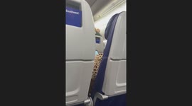 Grandma's Bad Trip