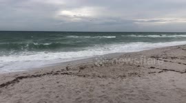 Tropical Storm in Coastal Broward County, USA