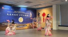 Rich culture of China's Gansu showcased in Netherlands