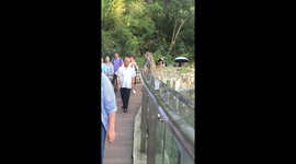 Mischievous monkey slaps elderly man's bald head leaving him shocked