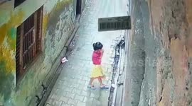 Monkey attack allegedly saves girl, 6, from being raped by man in by Northern India