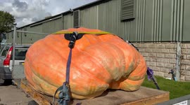 Monster pumpkin weighing over a tonne breaks British record at country show