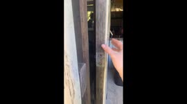 Son Doesn't Like Spiders