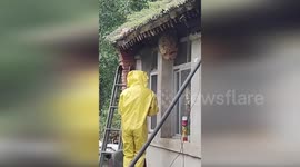 Firemen remove giant wasp nest from home in China
