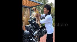 Man builds custom motorcycle seat for his dog, turning heads on roads in China