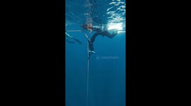 Watch this freedive hold their breath for a minute as they swim 20 metres deep