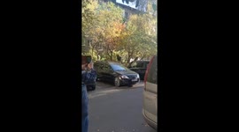 Injured moose strolls through streets of Rostokino District, Moscow