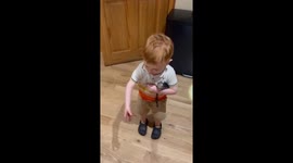 Toddler plays with spider in Cromdale, UK