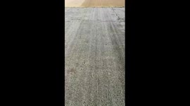 Cotton harvest season in China's Xinjiang