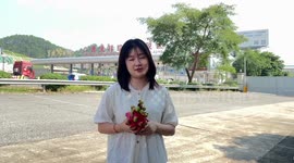 Fruit trade booming at China-Vietnam border