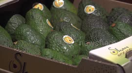 Lancang-Mekong fruit procurement festival held in Myanmar