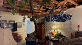 Storm Damage In Dekalb County