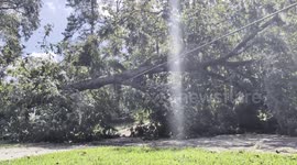 Helene Hurricane Damage in Tallahassee