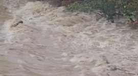 Raging Pigeon River in East TN