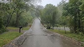 Wind-Toppled Power Line Pole