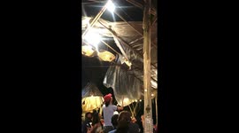 Customer catches cat from restaurant roof
