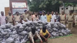 Major bust! 900 kg of marijuana seized at interstate checkpoint in southern India