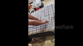 China: Washing Sofa Cushions