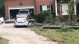 Hurricane Helene's Impact