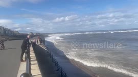 A second dead whale has washed up on a beach