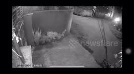 The moment two thieves attacked and stole a dog lying on the porch