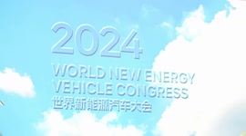 Auto industry leaders, experts hail China's EV development, oppose trade protectionism