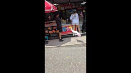 Painted stork begs for food from tourists in Thailand