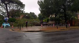 Fallen tree blocks road and damages wall after stormy night in Sussex