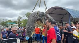 Two huge crocodiles caught in search for missing girl, 6, in Malaysia