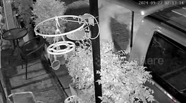 Rampaging German tourist attacks pizza shop in Thailand