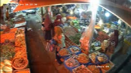 Wild Boars Rampage in Padang Pariaman, Attack and Injure 2 Residents